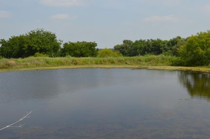 Timberland Property in Falls County, Texas