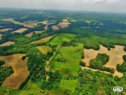 Property in Graves County, Kentucky