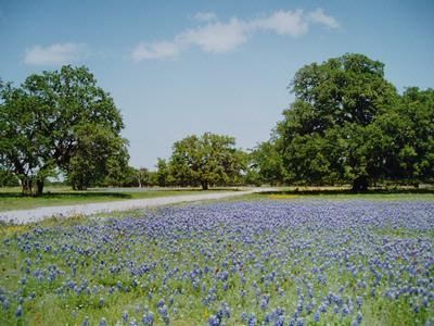 Property in Schleicher County, Texas