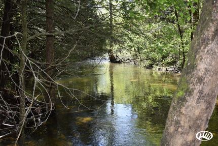 Property in Barry County, Missouri