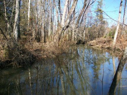 Ranch Property in Toombs County, Georgia