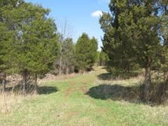 Ranch Property in Lewis County, Kentucky