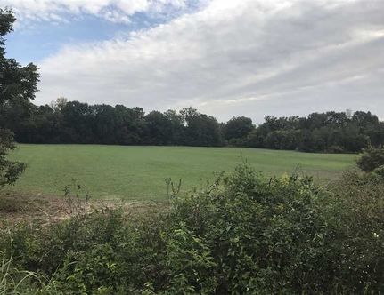 Riverfront Property in Jefferson County, Arkansas