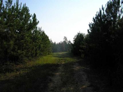 Property in Laurens County, Georgia