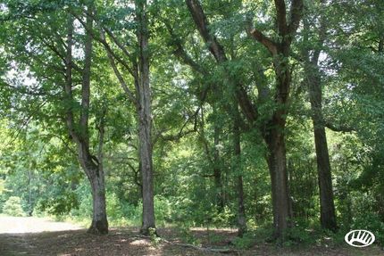 Property in Pike County, Georgia