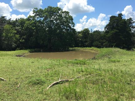Farm Property in Lavaca County, Texas