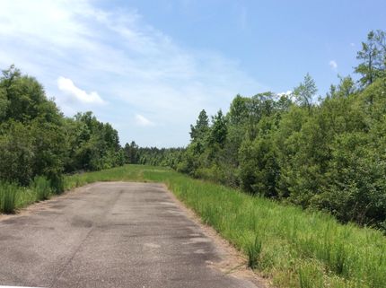 Hunting Land in Horry County, South Carolina