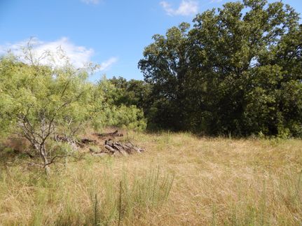 Residential Property in Comanche County, Texas