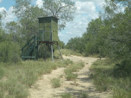 Property in Starr County, Texas