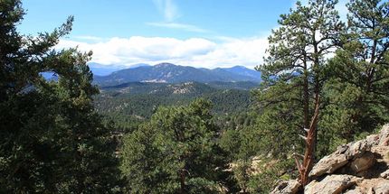 Timberland Property in Jefferson County, Colorado