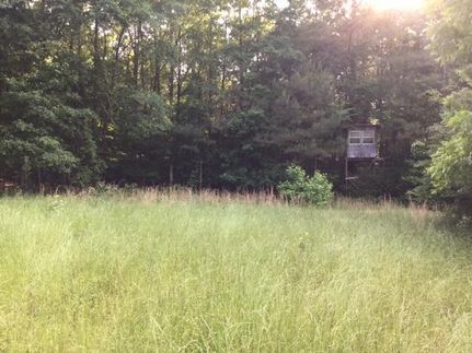 Ranch Property in Morgan County, Alabama