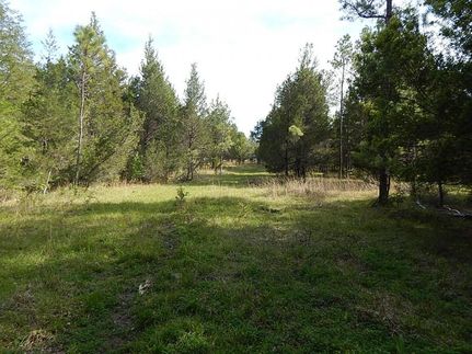 Property in Wilcox County, Alabama