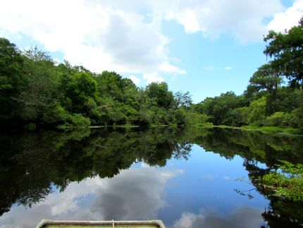 Waterfront Property in Taylor County, Florida