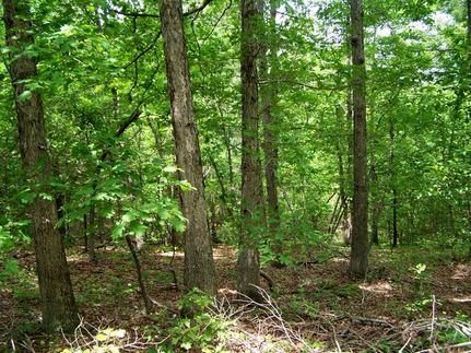 Farm Property in Randolph County, Arkansas