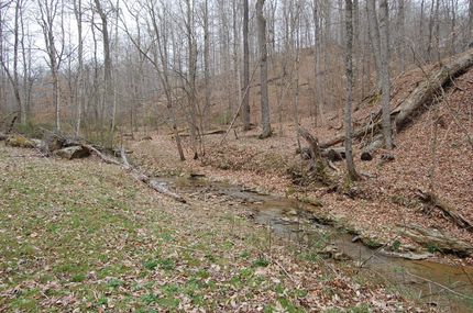 Timberland Property in Gallia County, Ohio