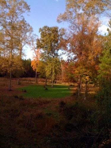 Farm Property in Franklin County, Mississippi