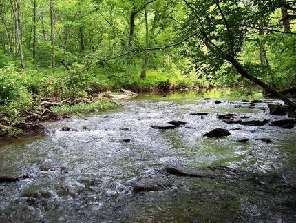 Ranch Property in Blount County, Alabama