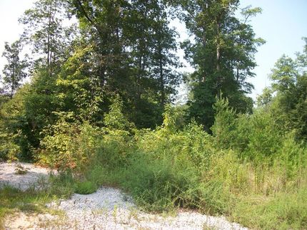 Farm Property in Grundy County, Tennessee