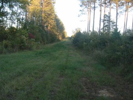 Ranch Property in Attala County, Mississippi