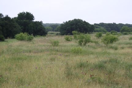 Farm Property in Hamilton County, Texas