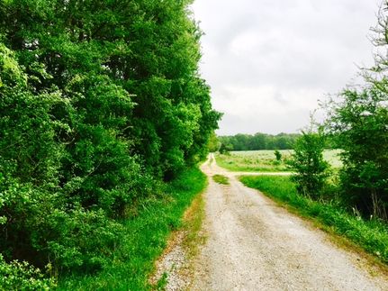 Farm Property in Leon County, Texas