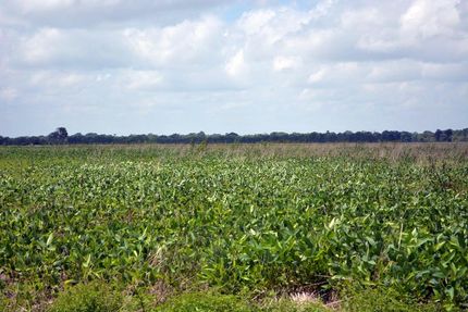 Commercial Property in Bowie County, Texas