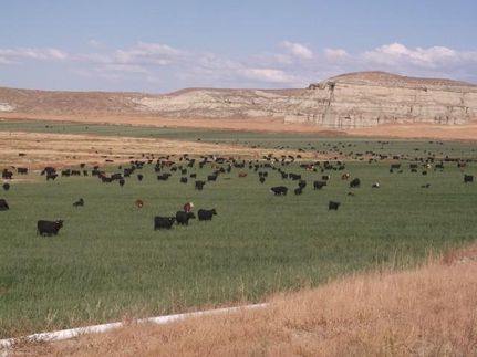 Property in Malheur County, Oregon