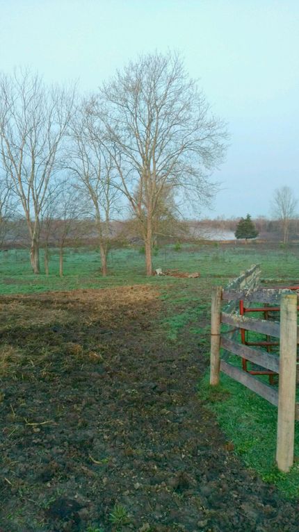 Farm Property in Greene County, Tennessee