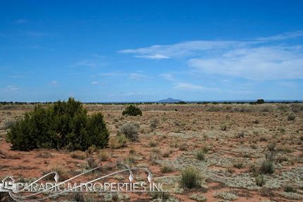 Undeveloped Land in Coconino County, Arizona