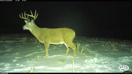 Farm Property in Allamakee County, Iowa