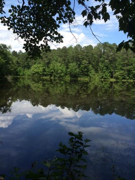 Ranch Property in Troup County, Georgia