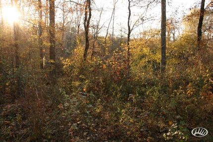 Property in Troup County, Georgia