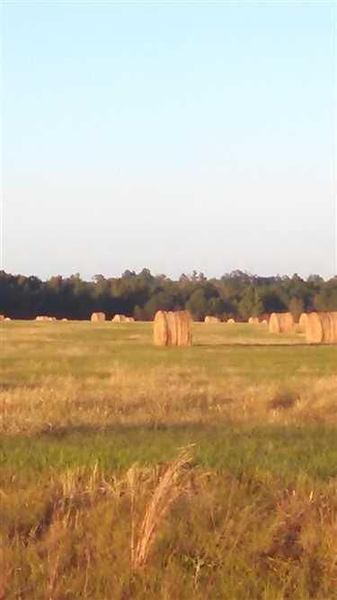 Property in Emanuel County, Georgia