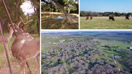 Property in McLennan County, Texas