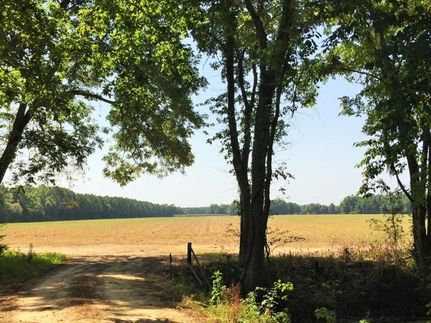 Ranch Property in Williamsburg County, South Carolina