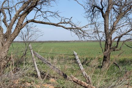 Undeveloped Land in Haskell County, Texas