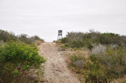 Property in McMullen County, Texas