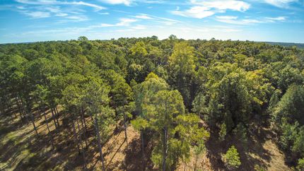Recreational Property in Chambers County, Alabama