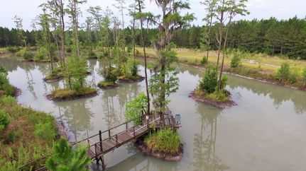 Property in Ware County, Georgia