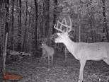 Ranch Property in Pushmataha County, Oklahoma