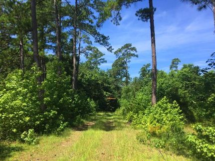 Commercial Property in Jasper County, South Carolina