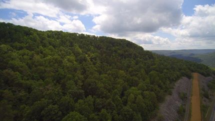 Farm Property in Marion County, Tennessee