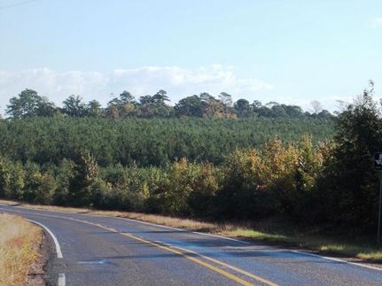 Commercial Property in Polk County, Texas