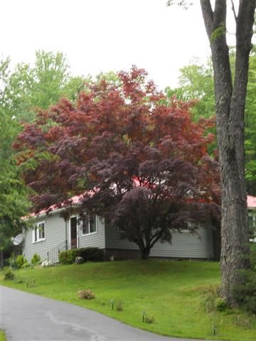 Residential Property in Sullivan County, New York