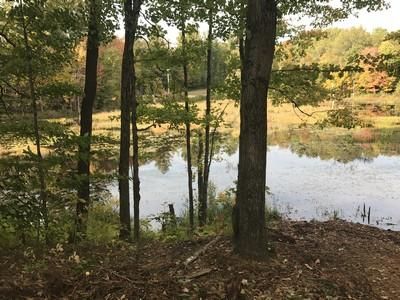 Commercial Property in Oswego County, New York