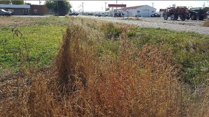 Commercial Property in Treasure County, Montana