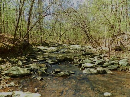 Property in Putnam County, Georgia