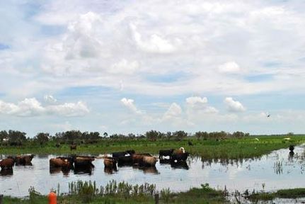 Waterfront Property in Highlands County, Florida