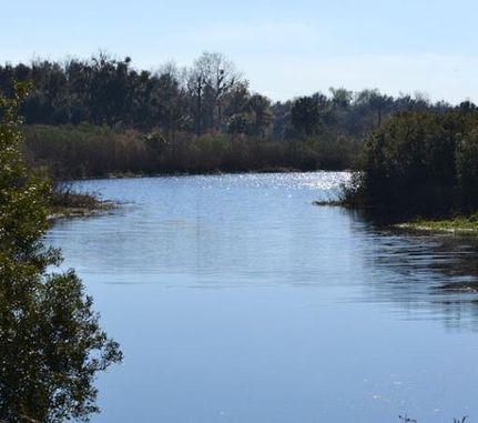 Waterfront Property in Hardee County, Florida
