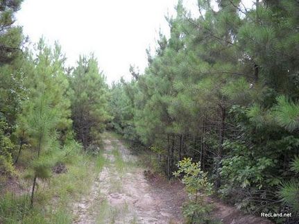 Lakefront Property in Caldwell Parish, Louisiana